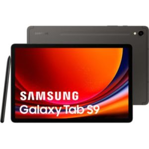 Image : Tablette SAMSUNG Galaxy Tab S9 11 Wifi 256Go Gris