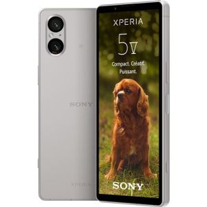 Image : Sony Xperia 5 V 128 Go Argent Platine