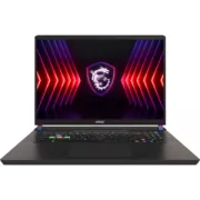 MSI GAMING VECTOR 17 HX A13VIG 17' PC portable