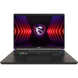 Image : MSI GAMING VECTOR 17 HX A13VIG 17' PC portable