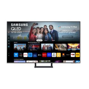 Image : Samsung TQ65Q73D 165 cm TV QLED