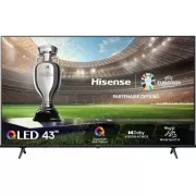 TV HISENSE 43E77NQ 43'
