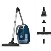 ROWENTA RO3172EA Power XXL Animal Kit Aspirateur avec sac