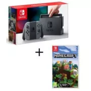Nintendo Switch Joy-Con gris + Minecraft