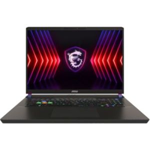 Image : MSI Vector 17 HX A13VHG-604FR PC Gamer