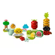 LEGO DUPLO 10984 Le jardin bio