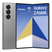 SAMSUNG Galaxy Z Fold6 Gris 256Go