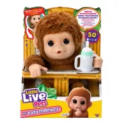Little Live Pets Mon Bebe Singe Peluche interactive