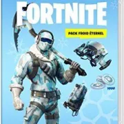 Fortnite : Pack froid eternel Nintendo Switch