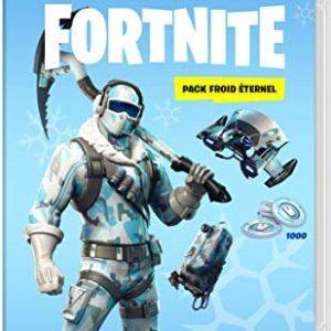 Image : Fortnite : Pack froid eternel Nintendo Switch