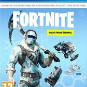 Fortnite : Pack froid eternel PS4