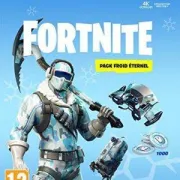 Fortnite : Pack froid eternel Xbox One