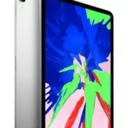 iPad Pro 11' 256 Go WiFi Argent