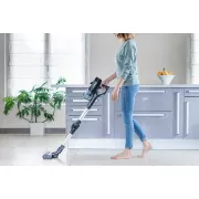 Eziclean Cycloboost FR15 Animal Aspirateur balai