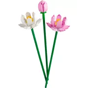 LEGO 40647 Les fleurs de lotus