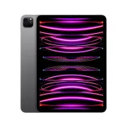 Apple iPad Pro 11' M2 2 To Gris Sidéral Wifi Fin 2022 - MNXM3NF/A