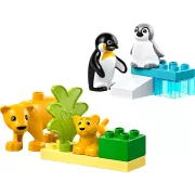 LEGO 10442 Familles d'animaux sauvages: pingouins et lions DUPLO