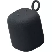 SONY LINKBUDS Speaker Noire Enceinte portable 
