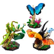 LEGO 21342 La collection d'insectes Ideas