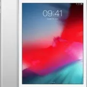 iPad Mini 2019 Wi-Fi + 4G 64Go Argent