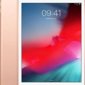 Image : iPad Mini 2019 Wi-Fi 256Go Or