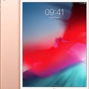 Image : iPad Air 2019 256Go Wi-Fi OR
