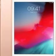 iPad Mini 2019 Wi-Fi + 4G 256Go Or