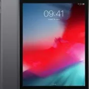 iPad Mini 2019 Wi-Fi + 4G 256Go Gris Sideral