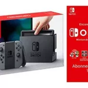 Nintendo Switch  gris + Switch Online 12 Mois Famille