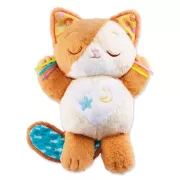 Vtech Baby Mon Chaton Douce Nuit Jeu d'éveil