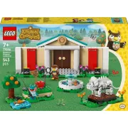 LEGO 77056 Les collections du musée de Thibou Animal Crossing