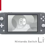 Nintendo Switch Lite Gris