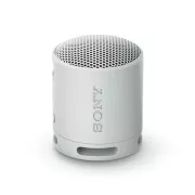 Sony SRS-XB100 Gris - SRSXB100H.CE7 Enceinte sans fil