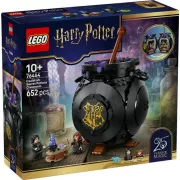 LEGO Harry Potter 76464 Le chaudron : le cours de potions caché