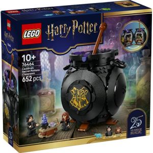 Image : LEGO Harry Potter 76464 Le chaudron : le cours de potions caché