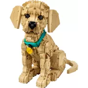 LEGO 11384 Le chiot Golden Retriever - Icons