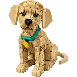 Image : LEGO 11384 Le chiot Golden Retriever - Icons