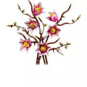 LEGO 11510 Branches de magnolia - Botanicals