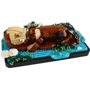 LEGO 21366 Les loutres câlines - Ideas