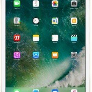 Image : iPad Pro 12.9' 512go 4G Or