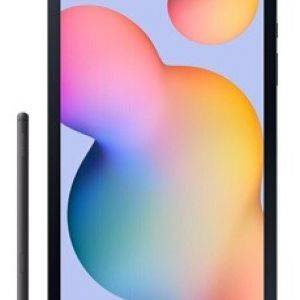 Image : Galaxy Tab S6 LITE 64 Go grise 4G