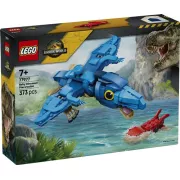 LEGO 77977 Bébé dinosaure : le ptéranodon - Jurassic World