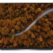 TV OLED Lg 77' 77CX 2020