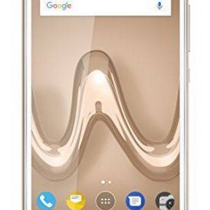 Image : Tommy 2 Plus Or