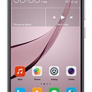 Image : Huawei Nova Gris
