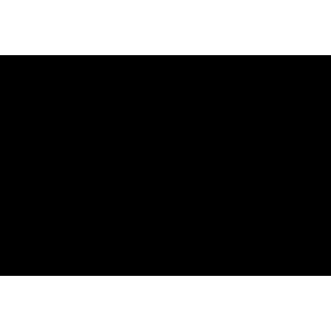 Image : Ecouteurs Wiko WIBUDS POCKET