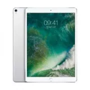 iPad Pro 12.9' 256 Go Argent