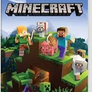 Minecraft Nintendo Switch