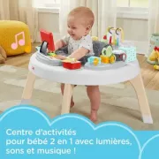 Fisher-Price - Centre d’Activites 2 en 1 Bebe travaille