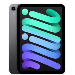 Image : Apple iPad Mini 8.3' 256 Go Gris sideral Wifi 6 eme generation 2021 MK7T3NF/A